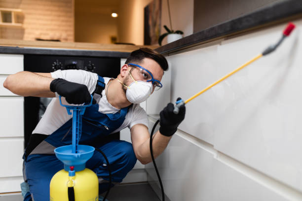 Best Pest Inspection Near Me  in Rainelle, WV