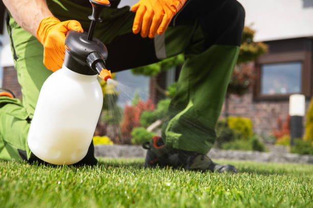 Best Termite Control Services  in Rainelle, WV