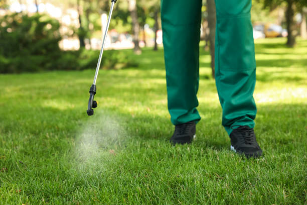 Professional Pest Control in Rainelle, WV