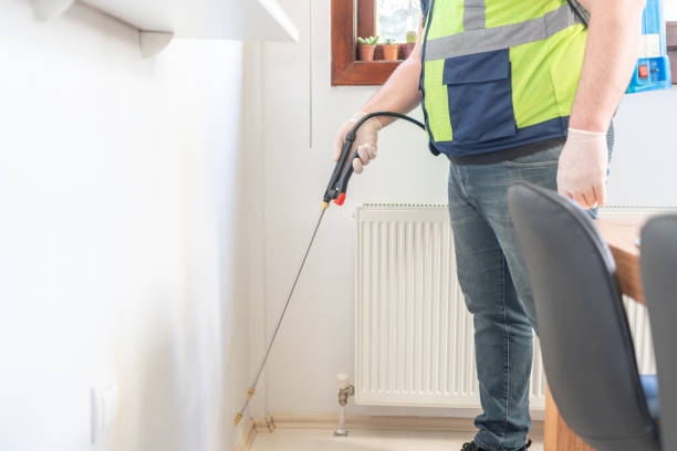 Best Wasp Removal Services  in Rainelle, WV