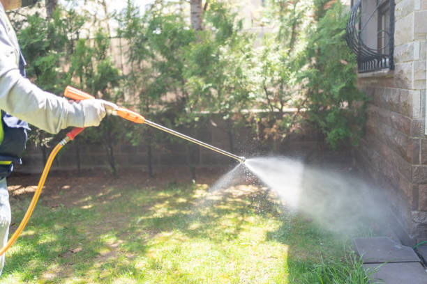 Best Pest Control Near Me in Rainelle, WV