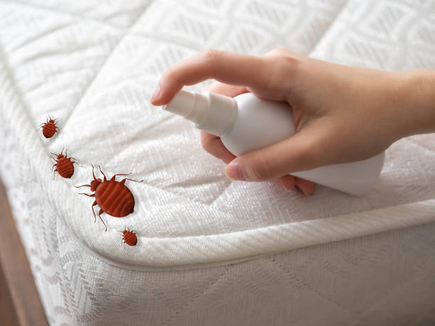 Best Best Pest Control Companies  in Rainelle, WV