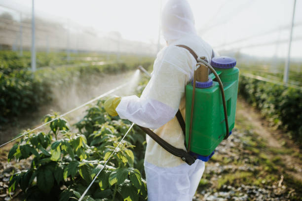 Best Commercial Pest Control Services  in Rainelle, WV